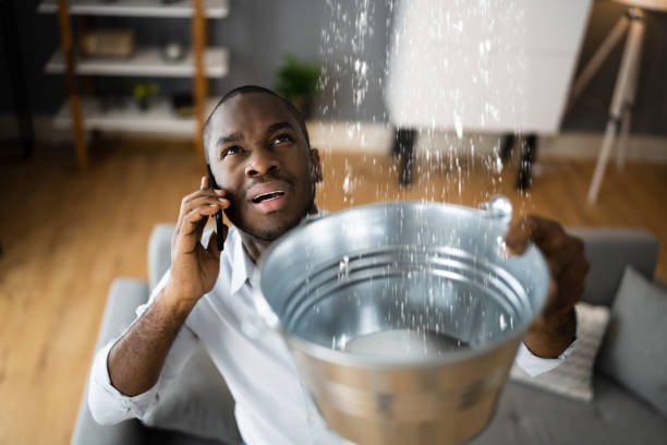 Best Water damage mitigation services  in Camden, SC