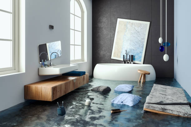Best Sewage cleanup and water damage restoration  in Camden, SC
