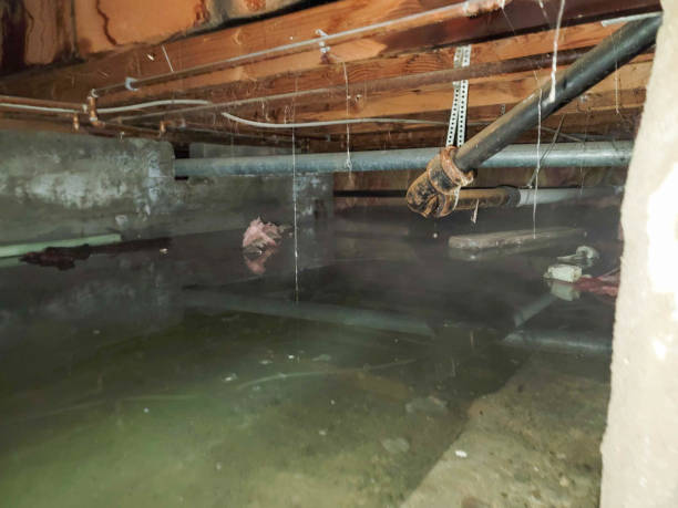 Water damage restoration experts in SC