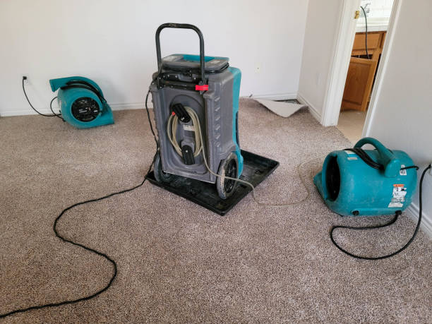 Best Ceiling water damage repair  in Camden, SC