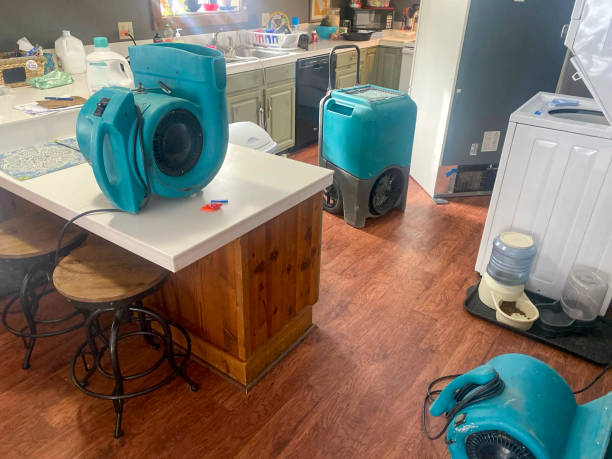 Best Water damage cleanup near me  in Camden, SC