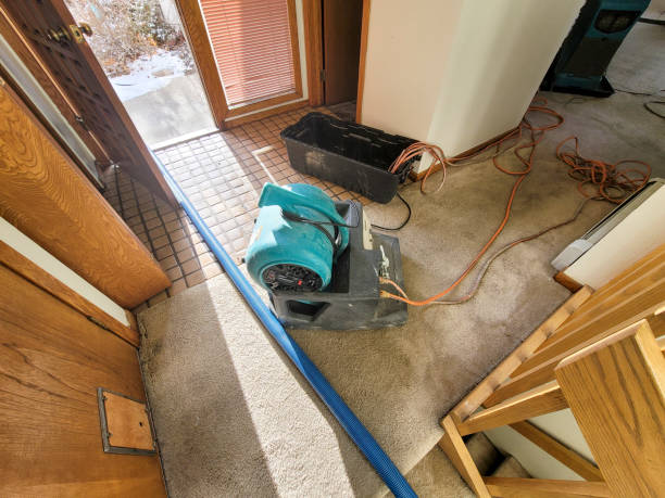 Best Carpet water damage restoration  in Camden, SC