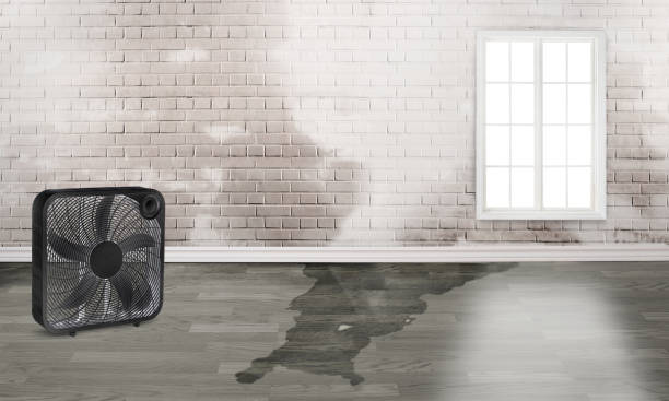 Fire Damage Restoration in SC