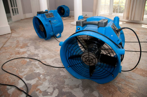 Best Flood damage cleanup  in Camden, SC
