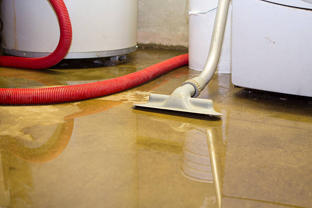 Best Ceiling water damage repair  in Camden, SC