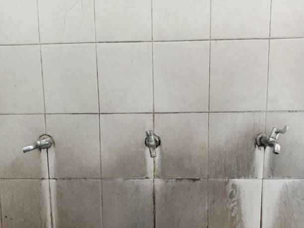 Best Water damage restoration mold remediation  in Camden, SC