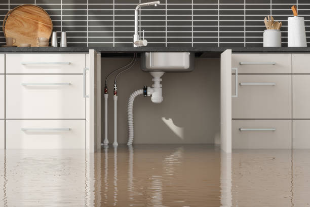 Trusted SC Water damage restoration Experts