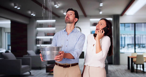 Best Water damage restoration experts  in Camden, SC