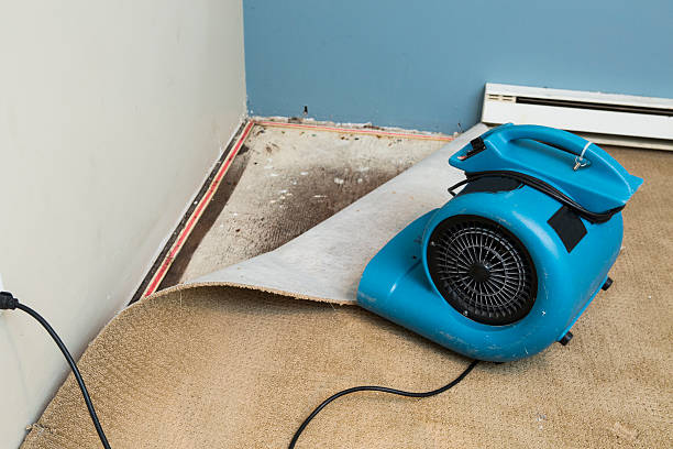 Best Flood restoration services  in Camden, SC